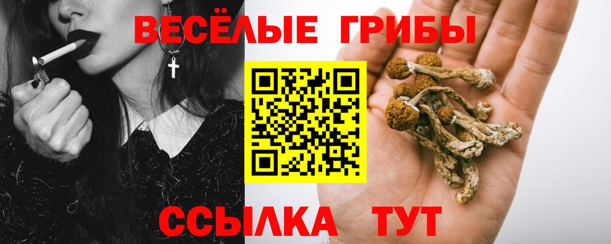 Псилоцибиновые грибы прущие грибы  Вход с VPN  купить наркотики сайты  Псилоцибиновые грибы мухоморы  Владикавказ 